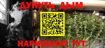 стаф Новокубанск