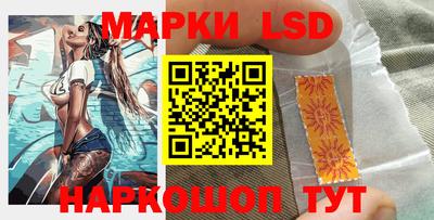 стаф Новокубанск