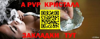 стаф Новокубанск