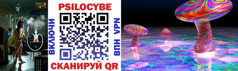 где продают   Унеча  Псилоцибиновые грибы Psilocybine cubensis 