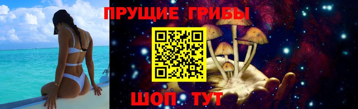 Галлюциногенные грибы GOLDEN TEACHER  Псилоцибиновые грибы GOLDEN TEACHER  Унеча  Вход с VPN 